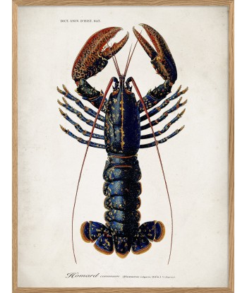 Affiche Homard 50-70% off 