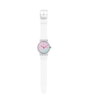 MONTRE SWATCH POLAWHITE meilleur choix