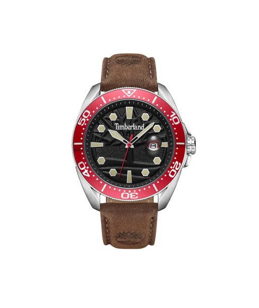 MONTRE TIMBERLAND CARRIGAN TDWGB2230602 de votre