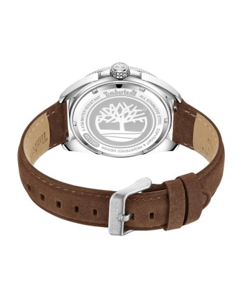 MONTRE TIMBERLAND CARRIGAN TDWGB2230602 de votre