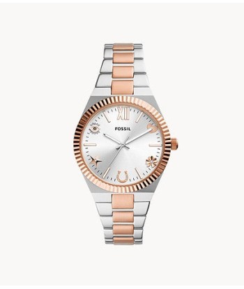 MONTRE FOSSIL SCARLETTE ES5261 de technologie