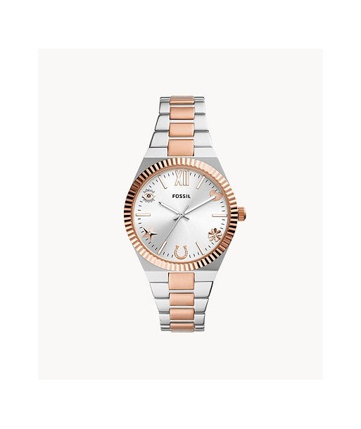 MONTRE FOSSIL SCARLETTE ES5261 de technologie