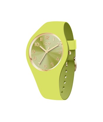 MONTRE ICE DUO CHIC acheter