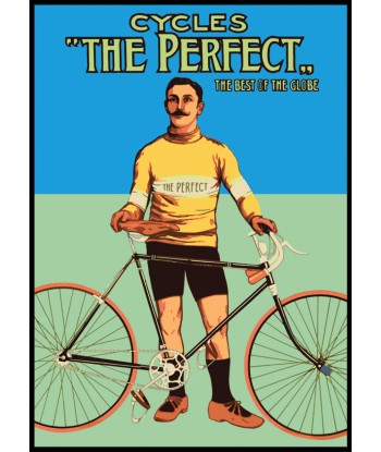 Affiche Cycles The Perfect la colonne vertébrale