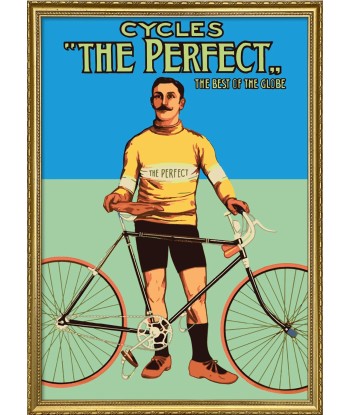 Affiche Cycles The Perfect la colonne vertébrale